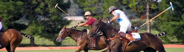 Learn and Play Polo in Argentina