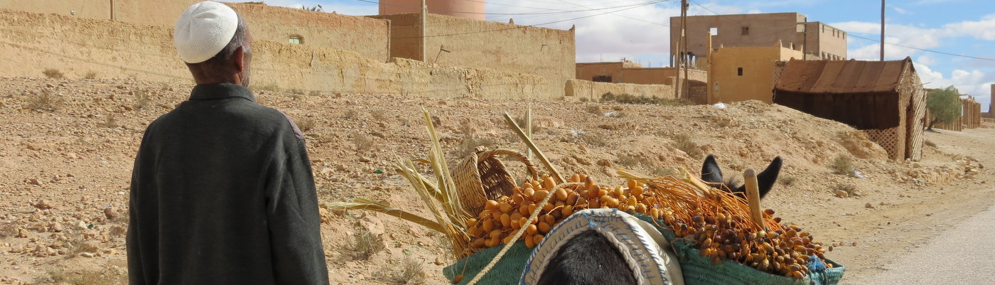 Volunteering Programs and Internships in Morocco