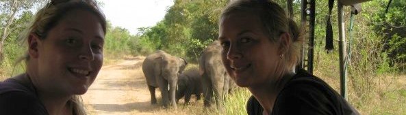 Conservation with Elephants in Sri Lanka