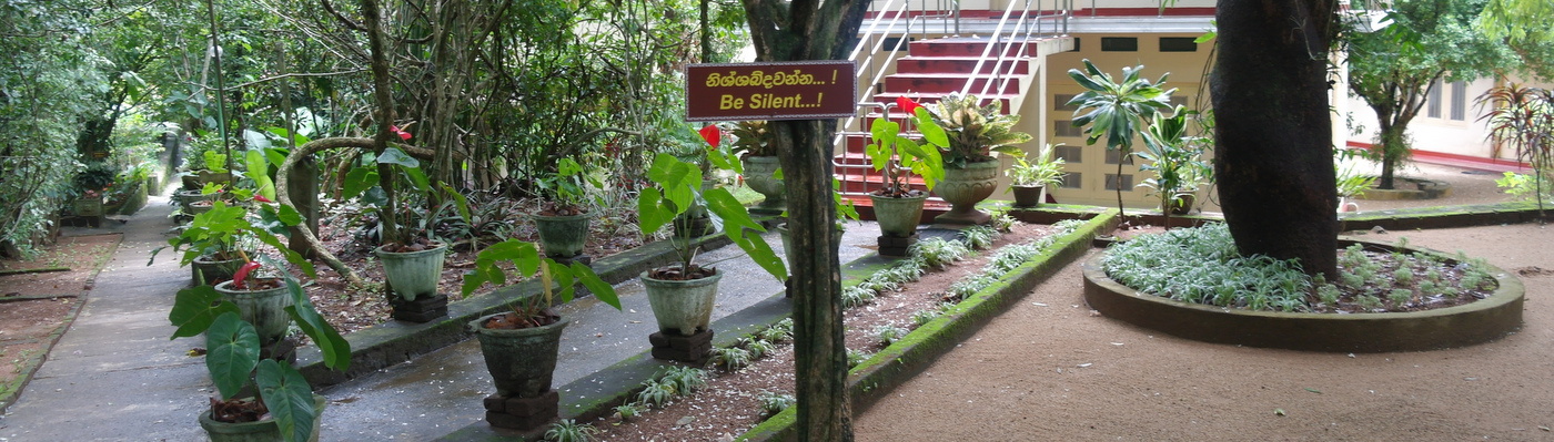 Meditation Course at a Buddhist Retreat in Sri Lanka