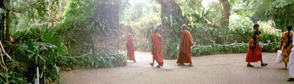 Teach Monks and Children in Kandy in Sri Lanka
