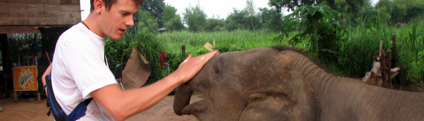 Care for Elephants in Thailand