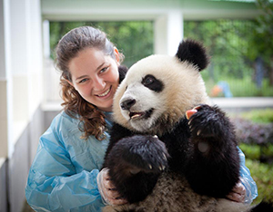 Help to conserve Pandas in China