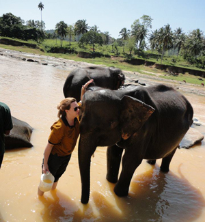 An Elephant Experience at Pinnawala Elephant Orphanage in Sri Lanka